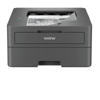 Brother HL-L2402D Monochrom - Laserdrucker, USB, Duplex, A4