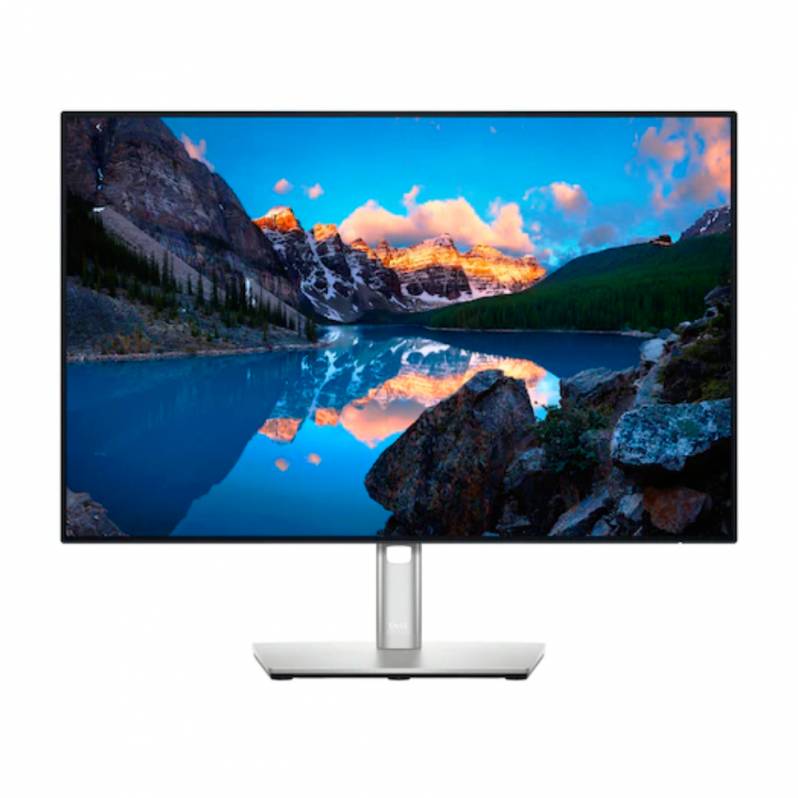 Monitor Dell 24 inch, LED, USB, VESA, argintiu