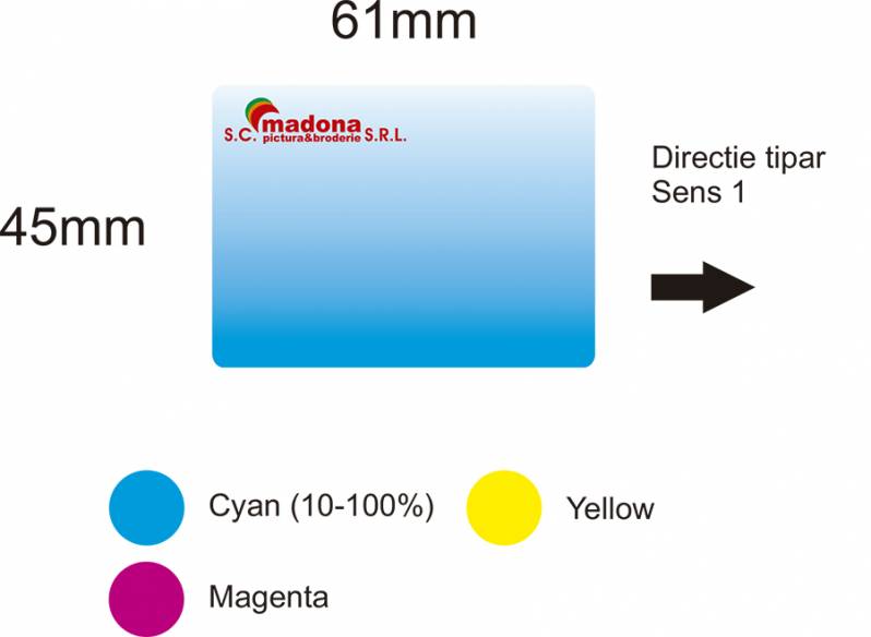 Etichete semilucioase MADONA, albastre, 45x61 mm