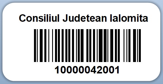 Etichete autoadezive Datasystem, serializare cod bare, 42x21 mm