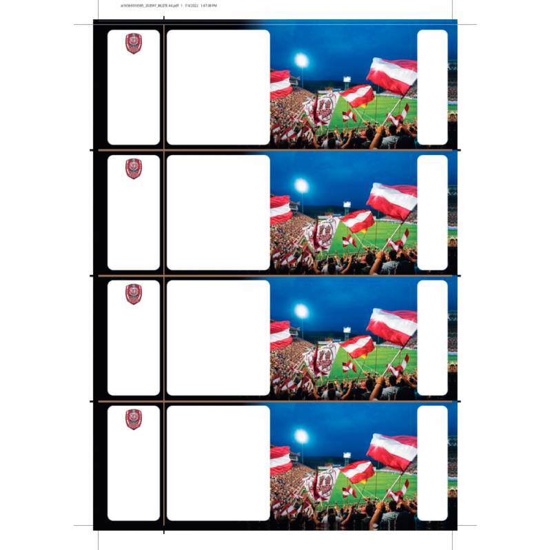 Bilete in coala fata-verso A4, 210 x 296mm, 4et./coala, carton mat, personalizare CFR