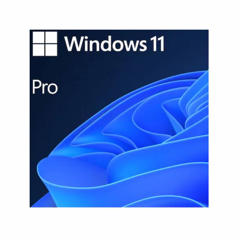 Microsoft Windows 11 Pro, 64-bit, English, OEM, DVD