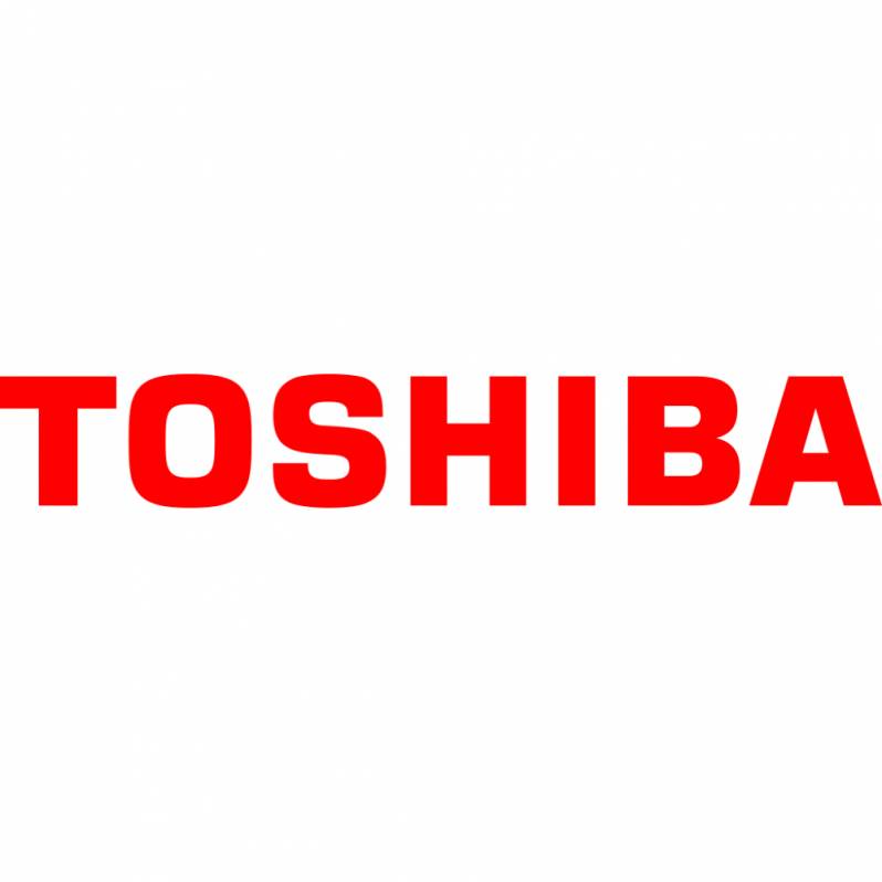 Cap de printare Toshiba B-EX4T2/D, 300DPI