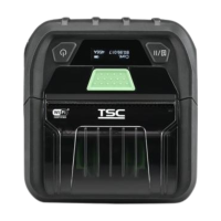 Mobiler Etikettendrucker TSC RE310, Bluetooth, WLAN