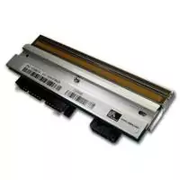 Cap de printare Zebra TTP21X0, 203DPI