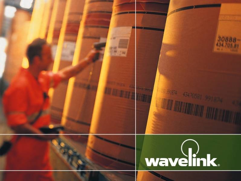 Licenta Datalogic Wavelink Industrial Browser (standalone)