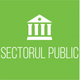 logo public sector